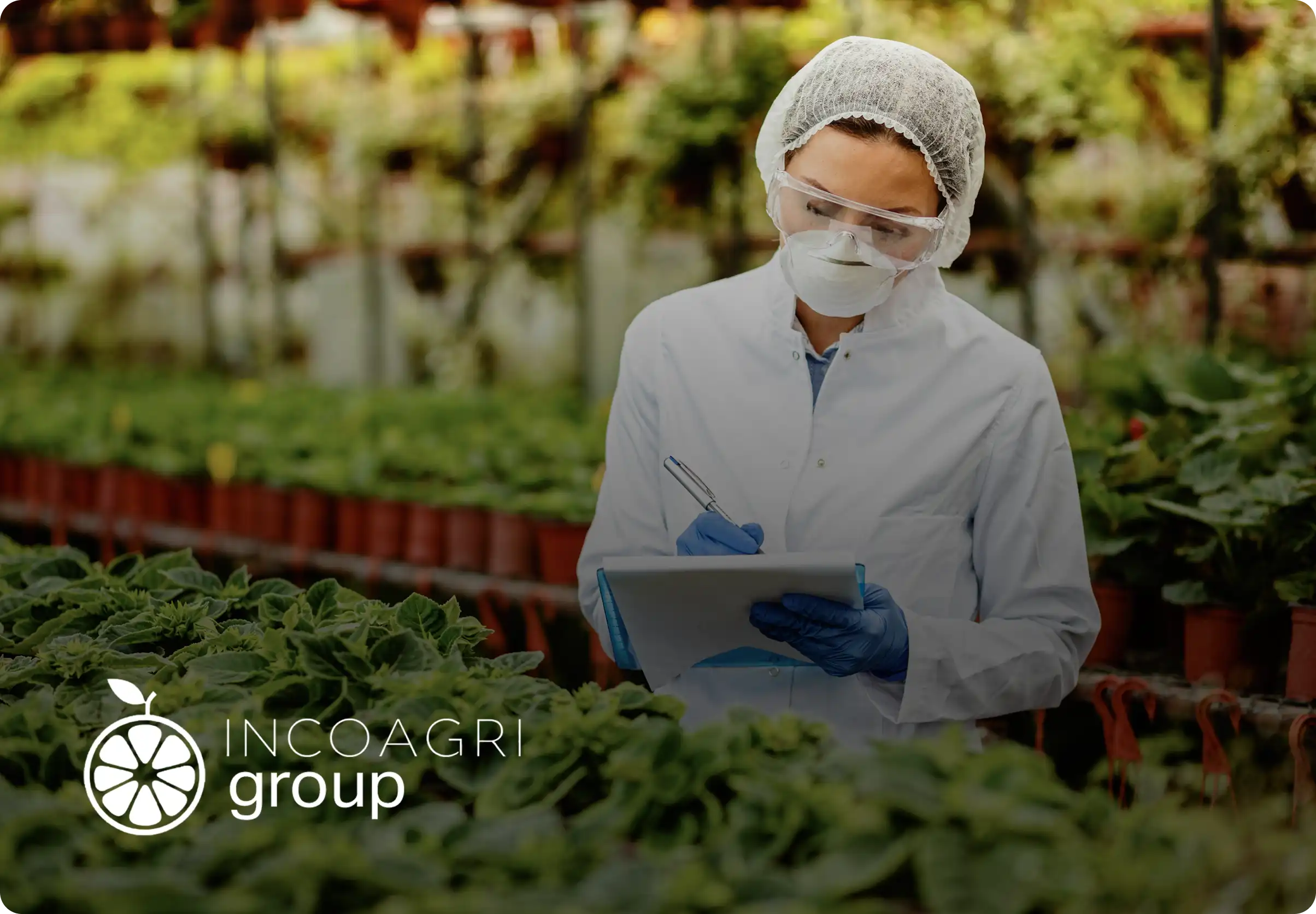 Gestión de proyectos de desarrollo rural y fondos de cooperación externa liderados por INCOAGRI Group en Centroamérica.