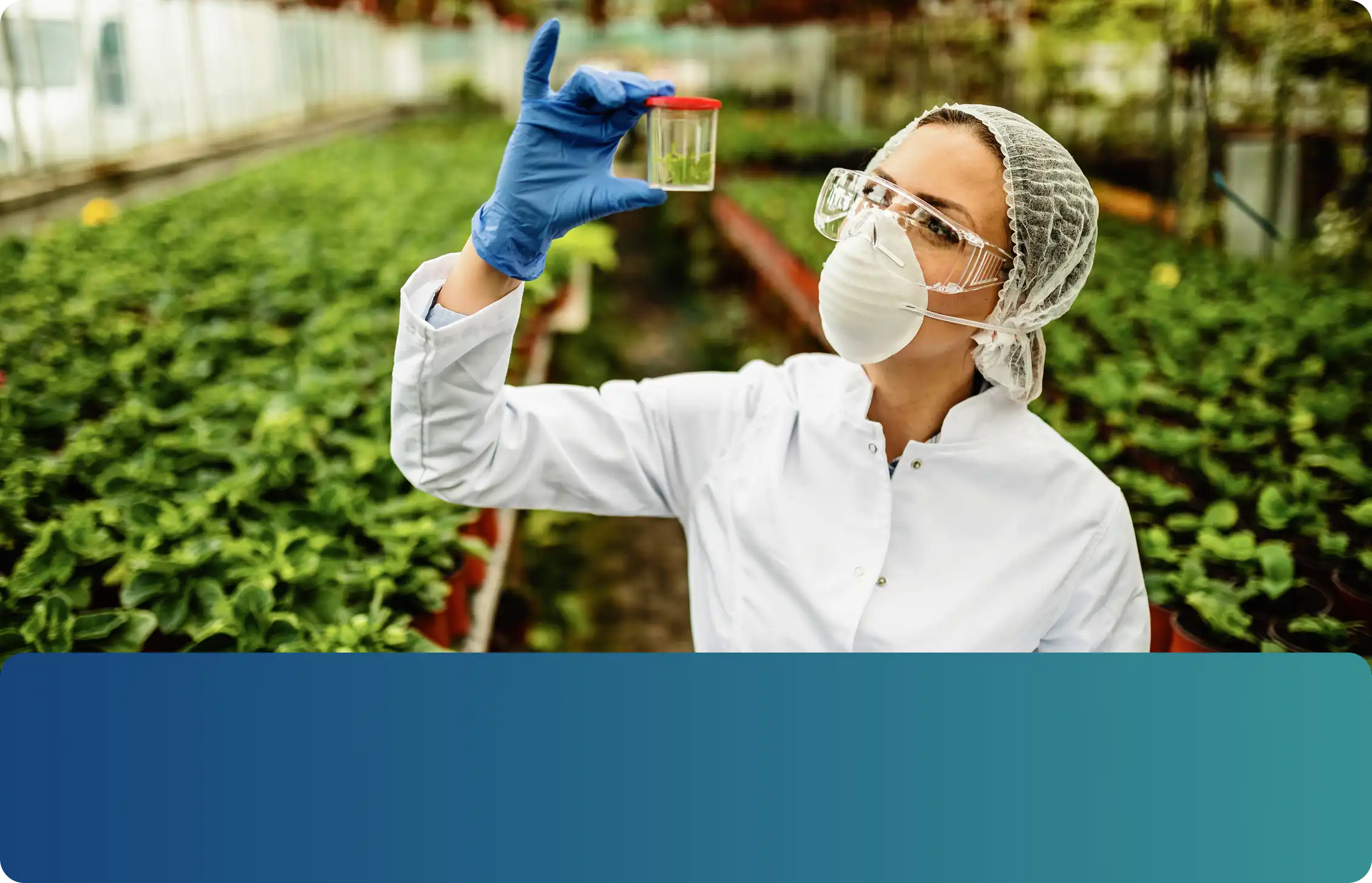 Soluciones integrales de INCOAGRI Group para los sectores agrícola pecuario ambiental y forestal.