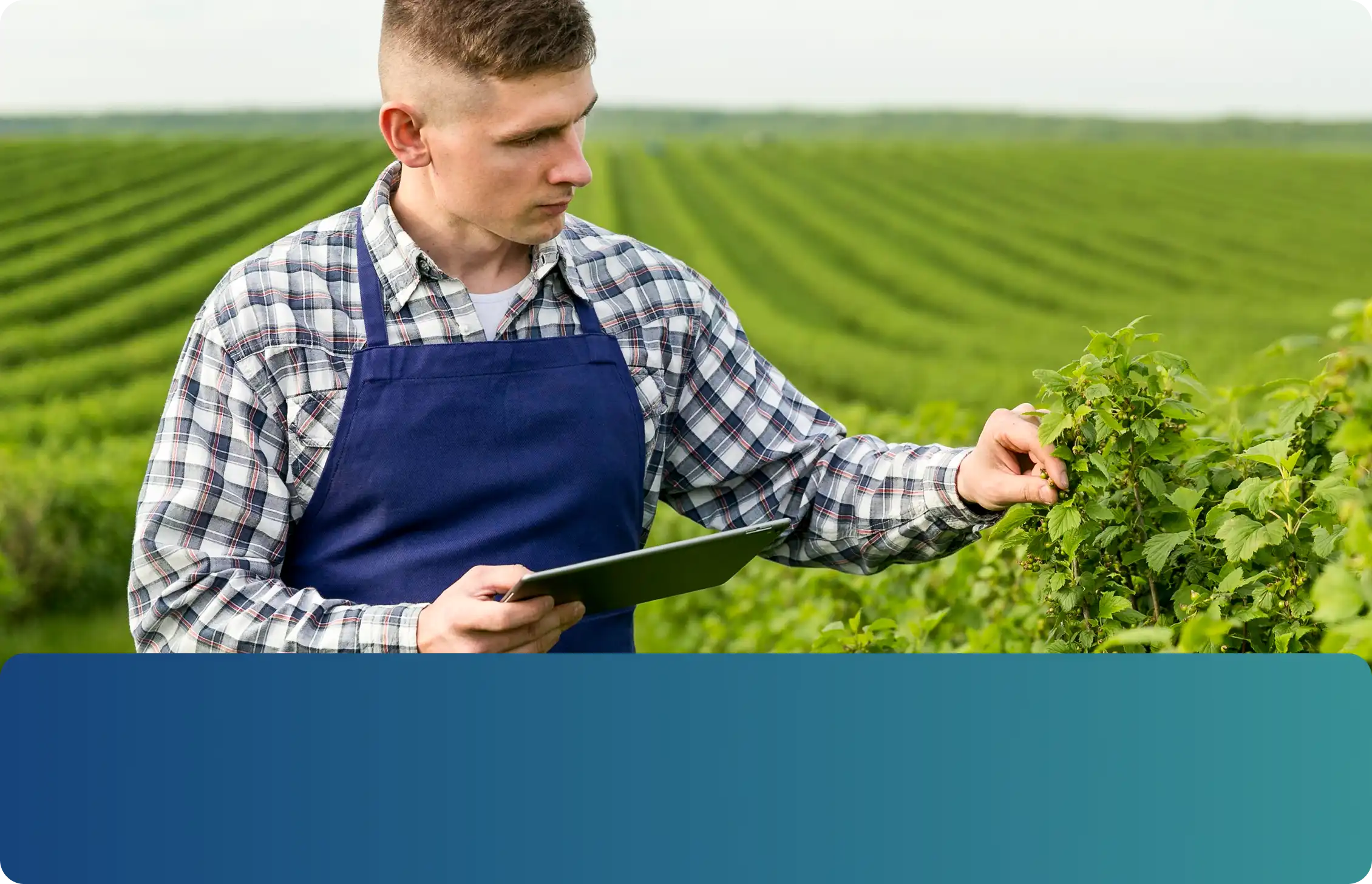 Gestión ambiental y sostenibilidad INCOAGRI Group con alianzas para cooperación externa y proyectos de desarrollo regional.