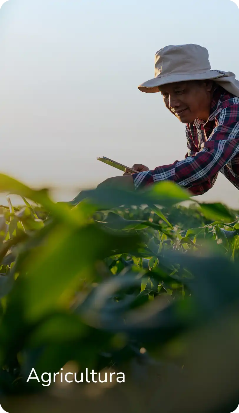 INCOAGRI Group el mejor aliado estratégico para incrementar la competitividad agropecuaria en Latinoamérica.