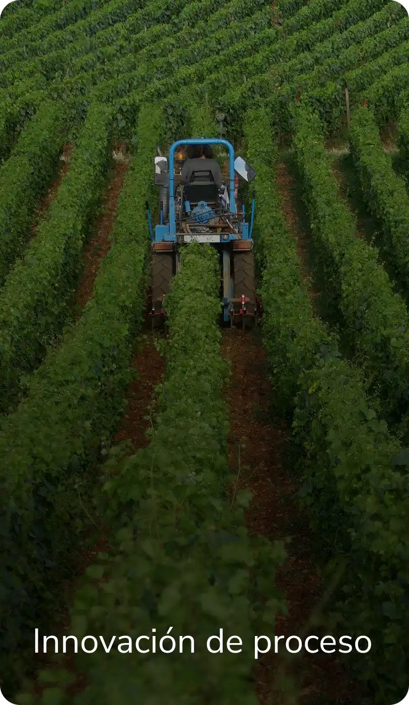 INCOAGRI Group corporación líder en consultoría para el desarrollo agropecuario y gestión de la sostenibilidad económica en Centroamérica.