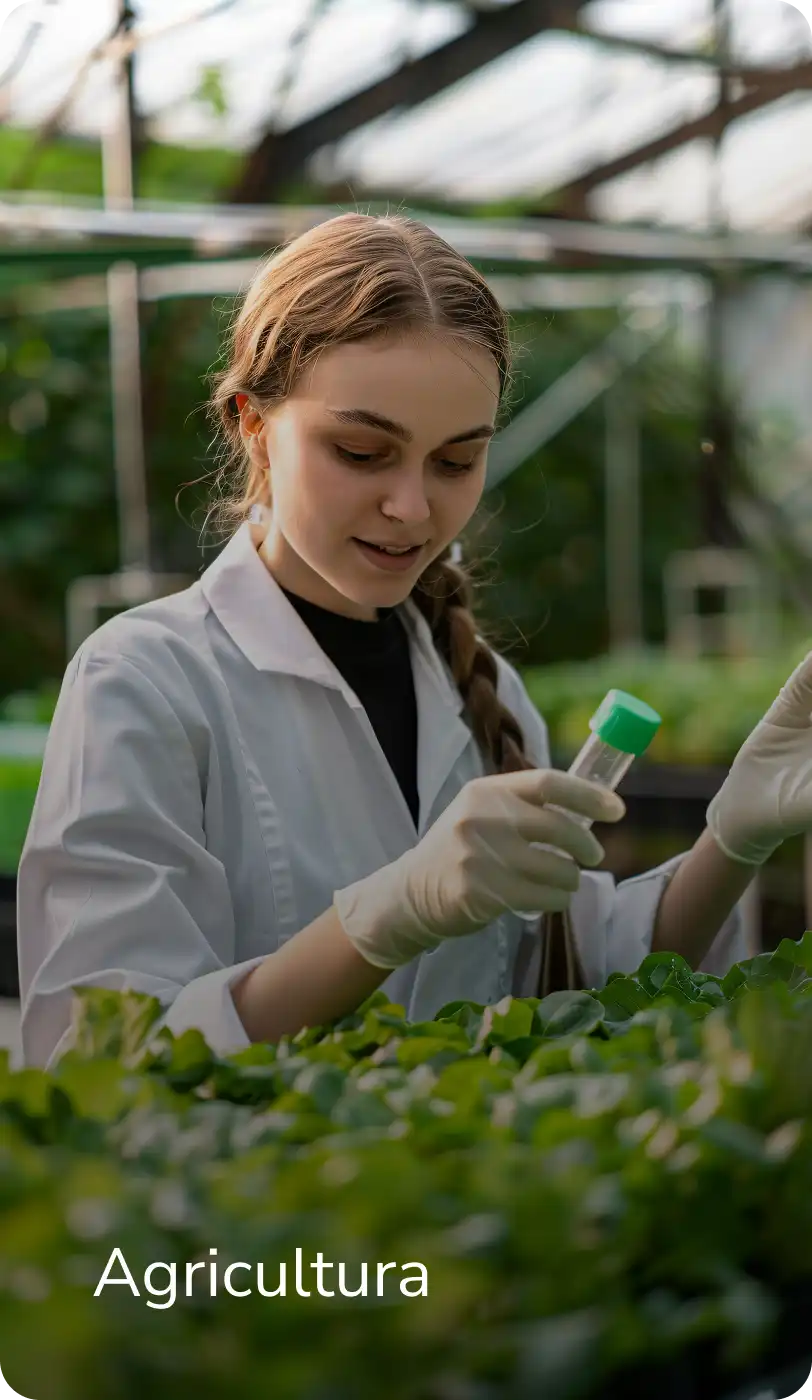 INCOAGRI Group corporación líder en consultoría para el desarrollo agropecuario y gestión de la sostenibilidad económica en Centroamérica.