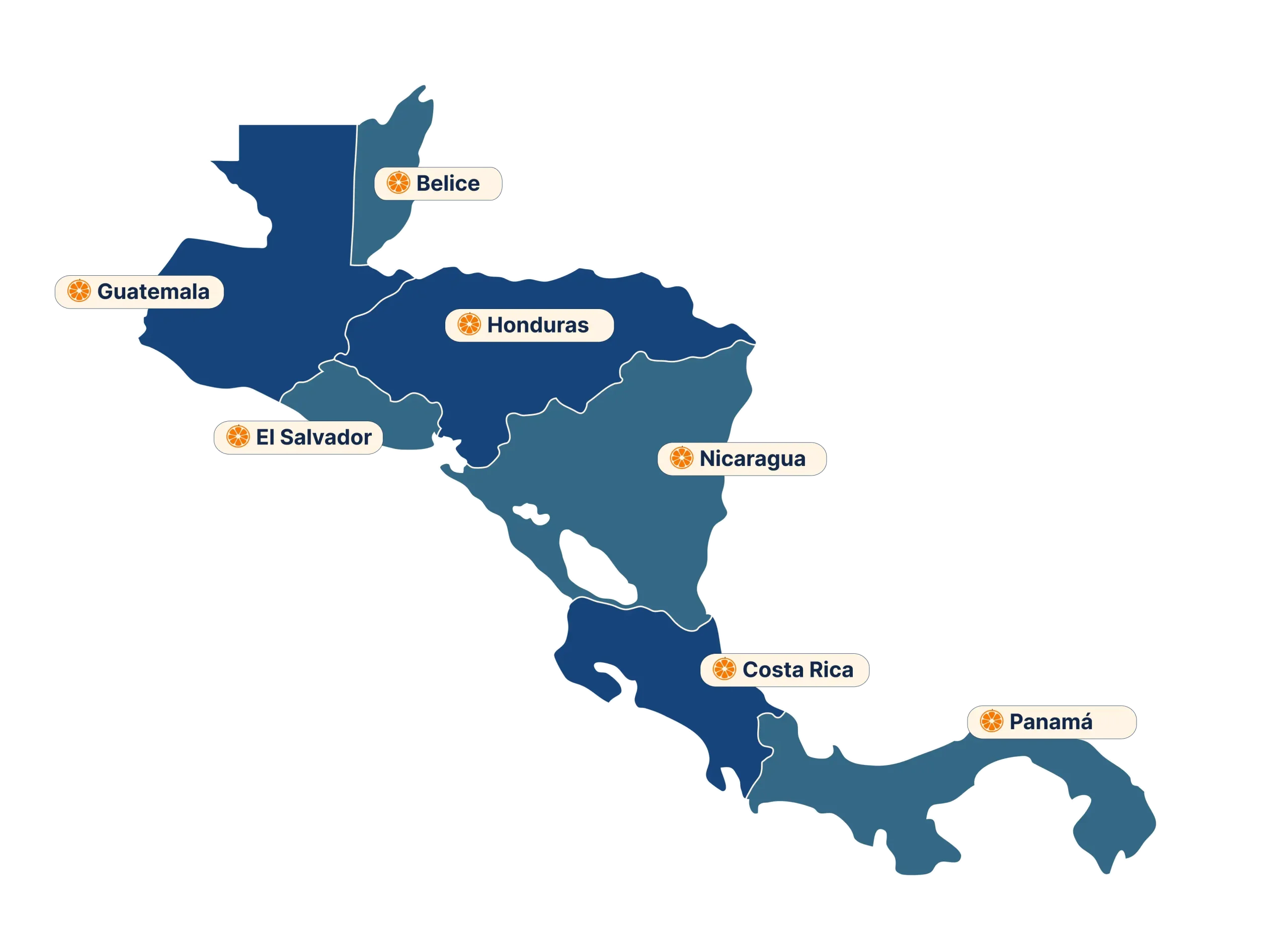 INCOAGRI Group garantiza la excelencia y eficiencia en las cadenas de suministro y valor del sector agropecuario centroamericano.