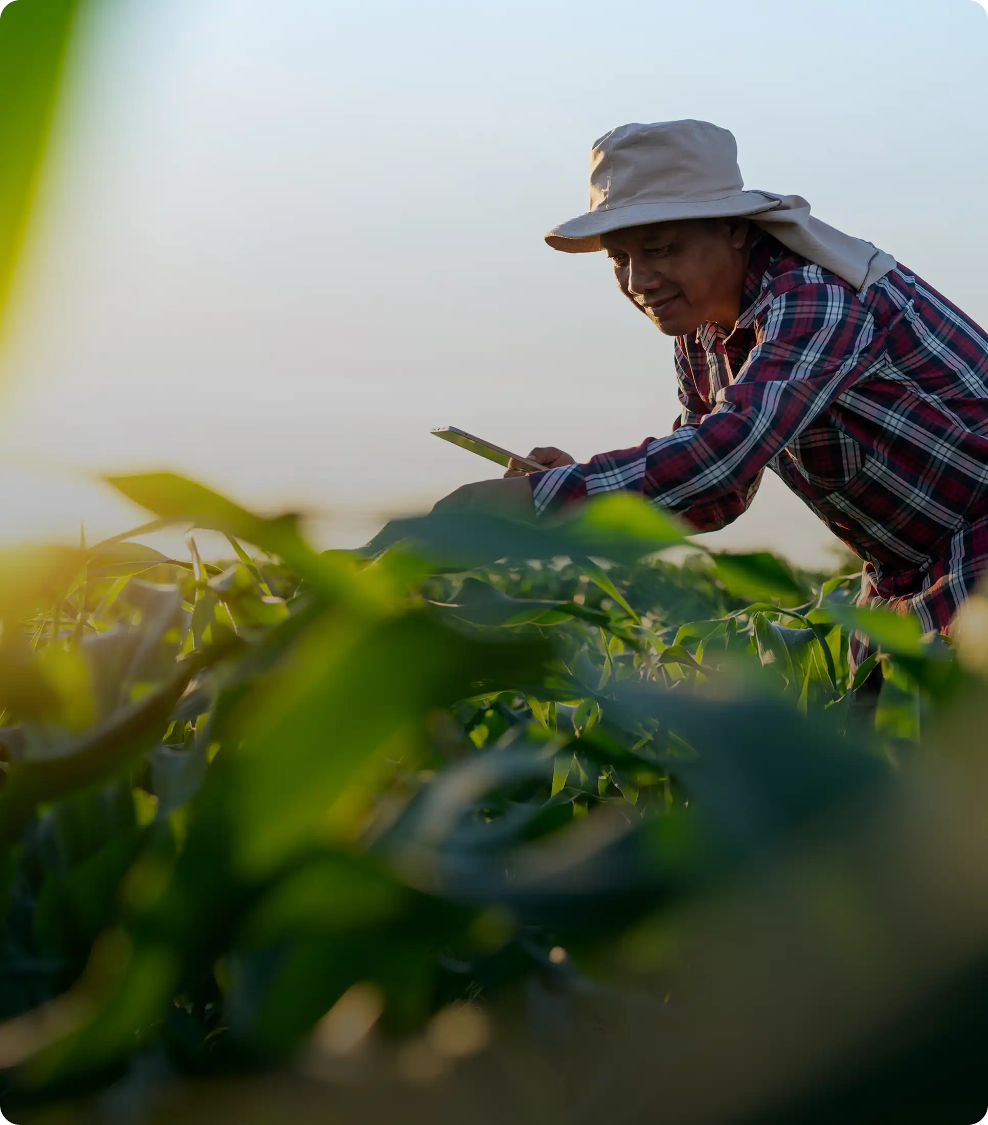Gestión ambiental y sostenibilidad INCOAGRI Group con alianzas para cooperación externa y proyectos de desarrollo regional.