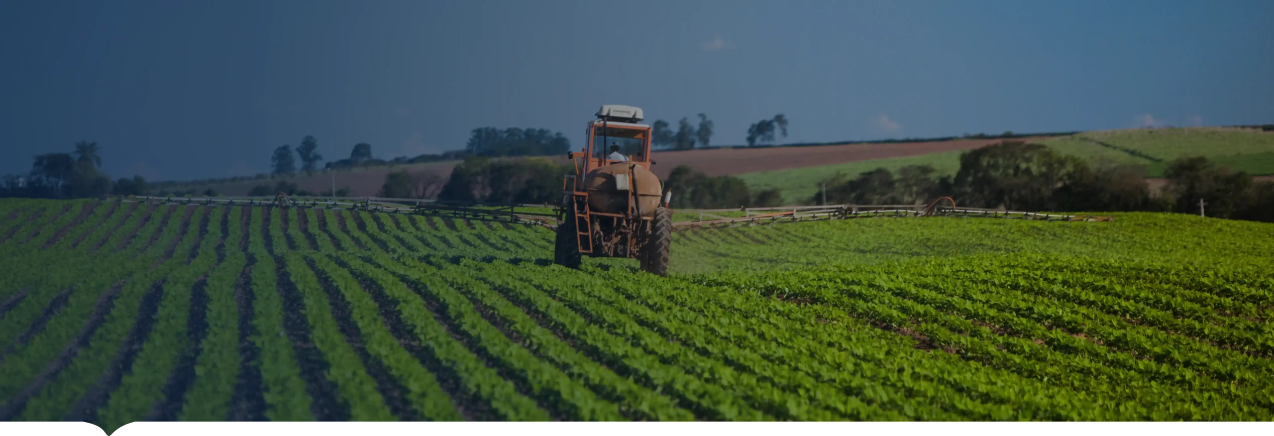 INCOAGRI Group corporación líder en consultoría para el desarrollo agropecuario y gestión de la sostenibilidad económica en Centroamérica.