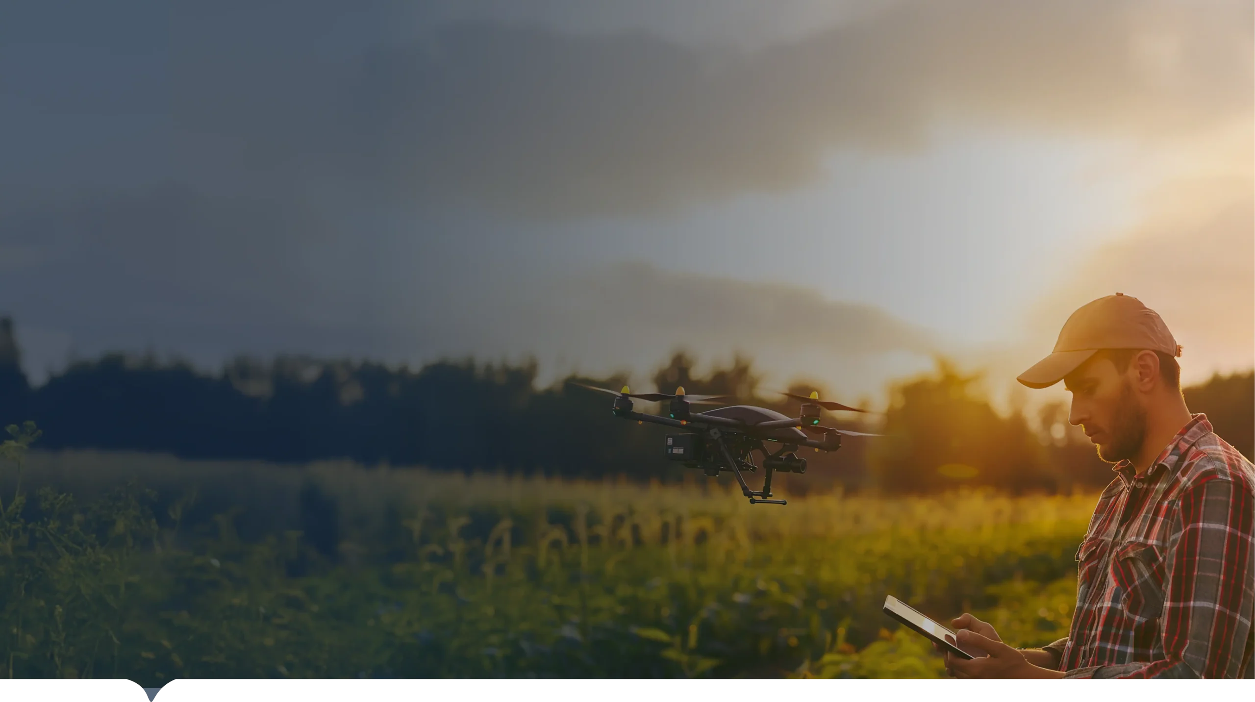 Gestión de proyectos de desarrollo rural y fondos de cooperación externa liderados por INCOAGRI Group en Centroamérica.
