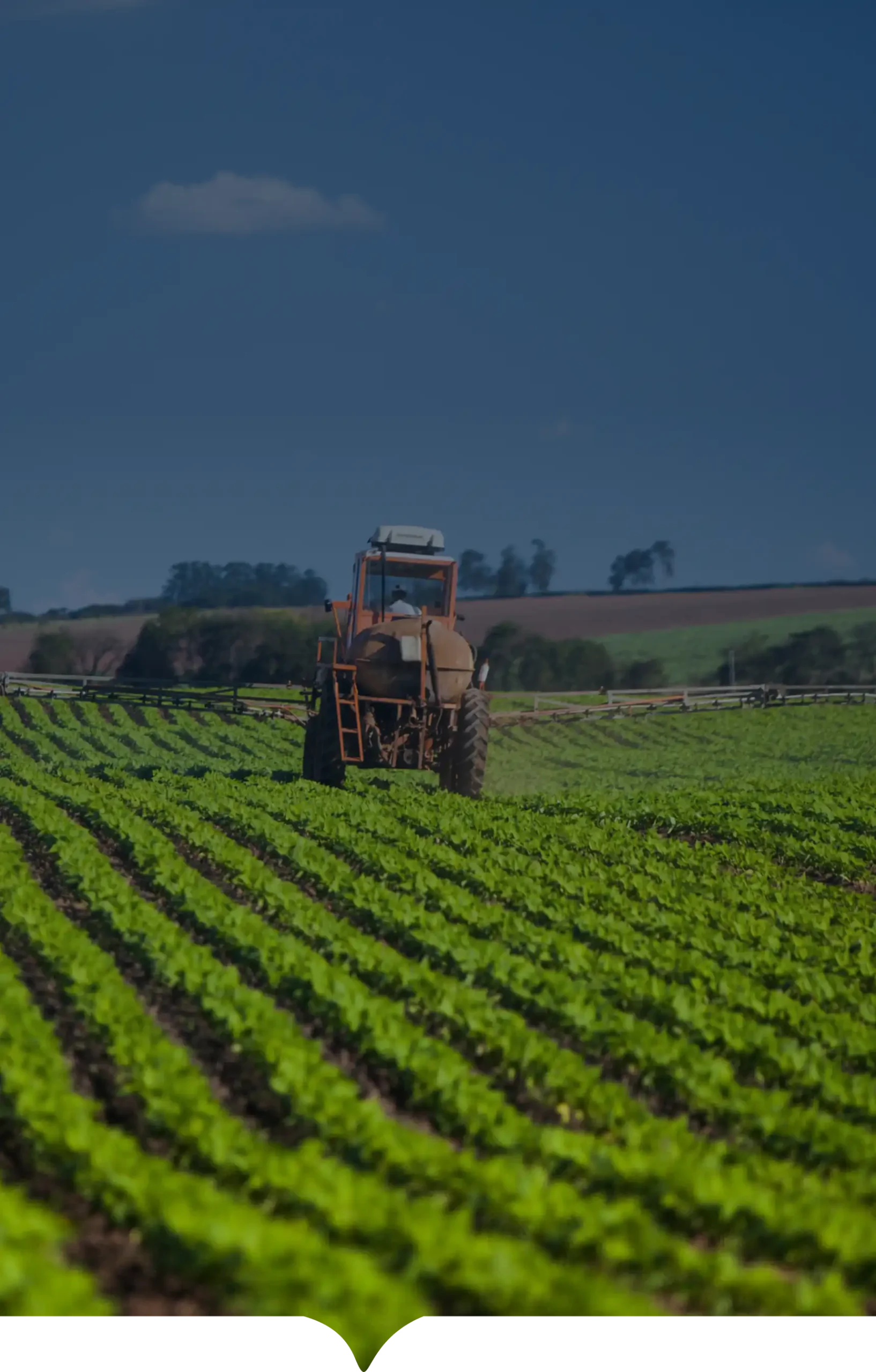 Gestión ambiental y sostenibilidad INCOAGRI Group con alianzas para cooperación externa y proyectos de desarrollo regional.